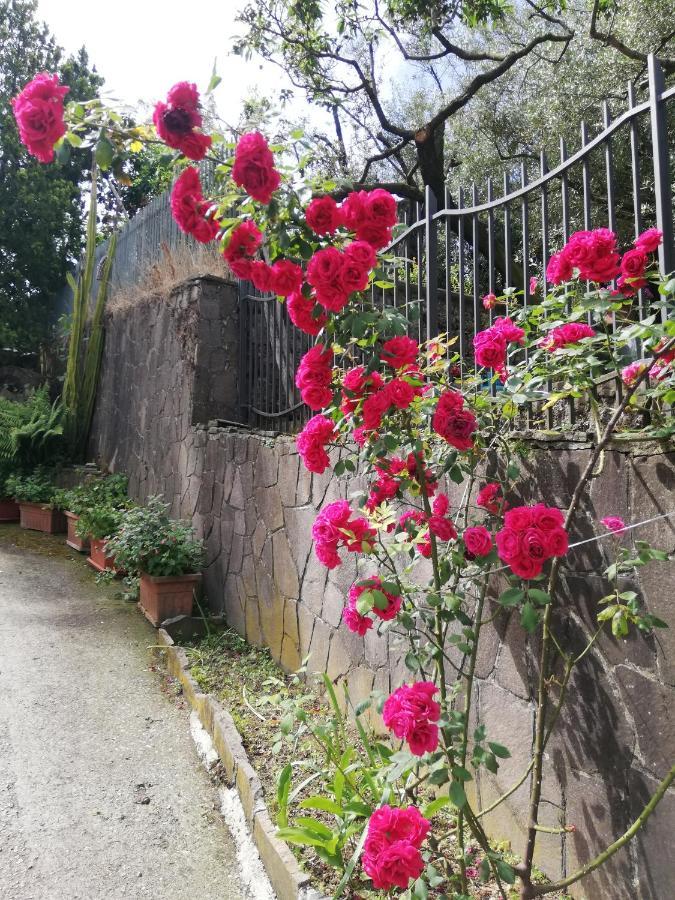 Bed and Breakfast Il Giardino Pimonte Exterior foto